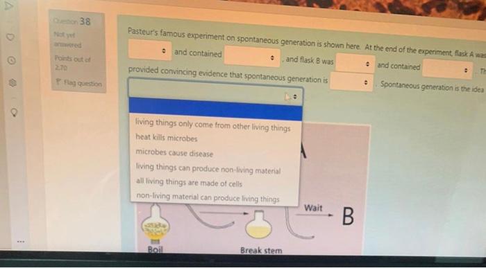 pasteur's experiment explained