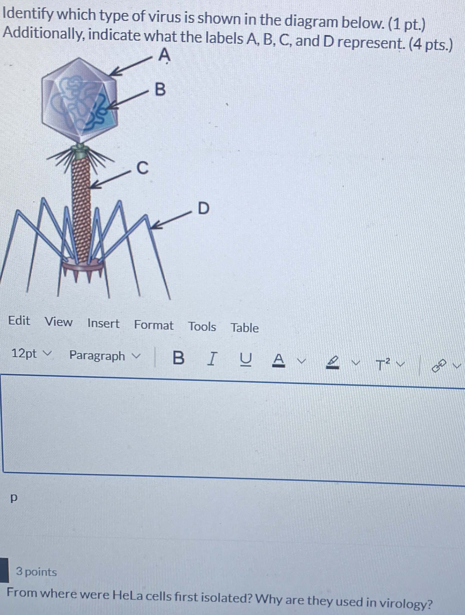 Solved Identify which type of virus is shown in the diagram | Chegg.com