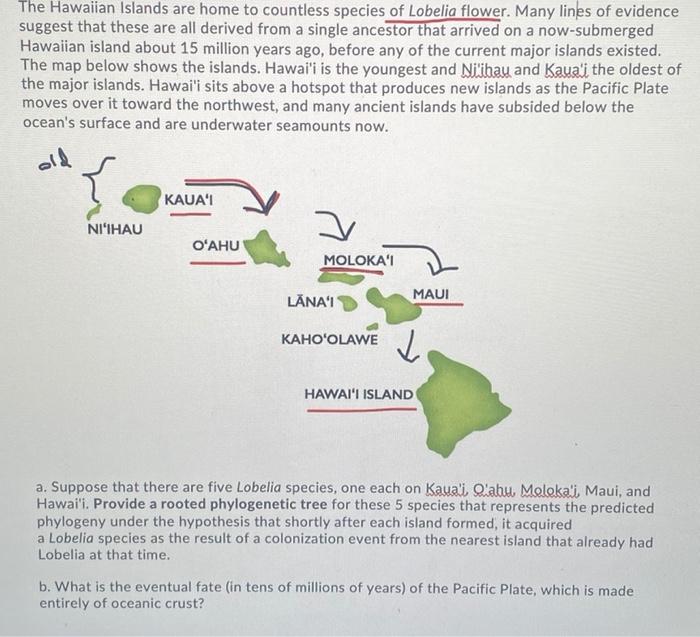 Solved The Hawaiian Islands are home to countless species of | Chegg.com