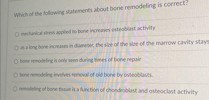Solved Which of the following statements about bone | Chegg.com