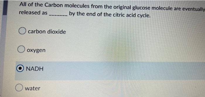 Solved All of the Carbon molecules from the original glucose | Chegg.com