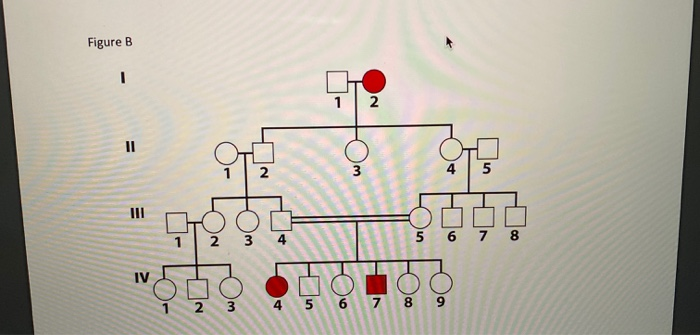 please help understand these two figures!!!! please | Chegg.com