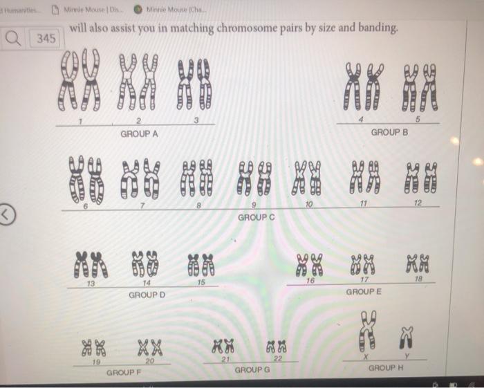 On page 345 of your lab manual, there is an example | Chegg.com