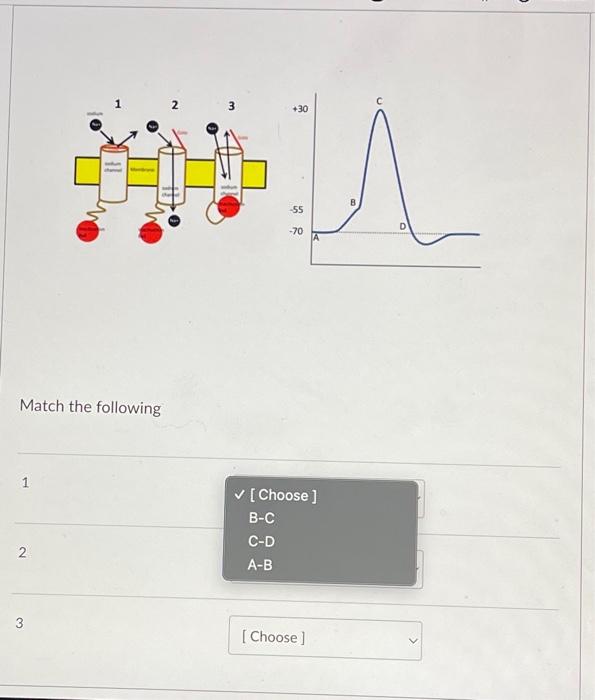 Solved Match The Following | Chegg.com