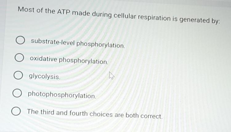 Where Is Most Of The Atp Made During Cellular Respiration Solved Most of the ATP made during cellular respiration is | Chegg.com