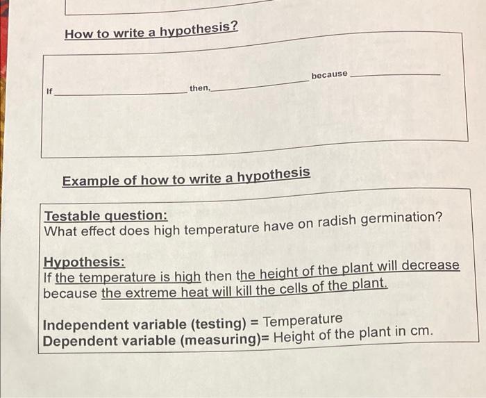 write a hypothesis to answer your testable question