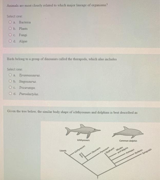 Solved Animals Are Most Closely Related To Which Major | Chegg.com