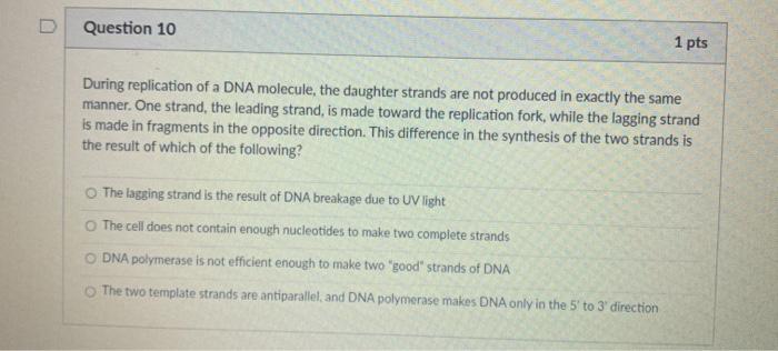 Solved Question 10 1 pts During replication of a DNA | Chegg.com