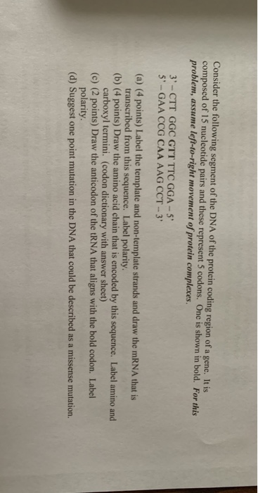 Solved Consider the following segment of the DNA of the | Chegg.com
