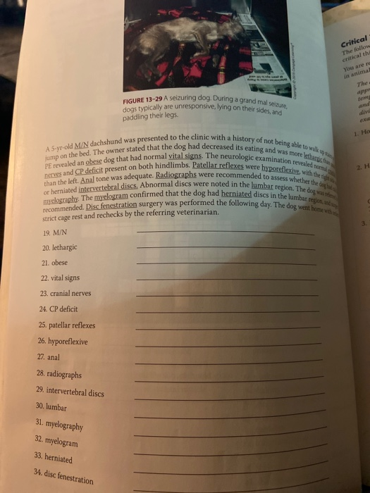 NERVES OF STEEL 339 Case Studies Define the