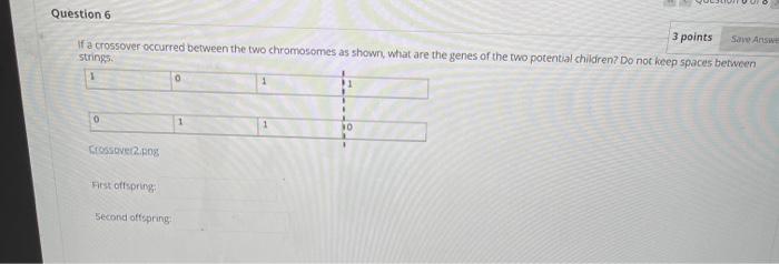 Solved Question 1 1 points Save Answer When applying Genetic | Chegg.com