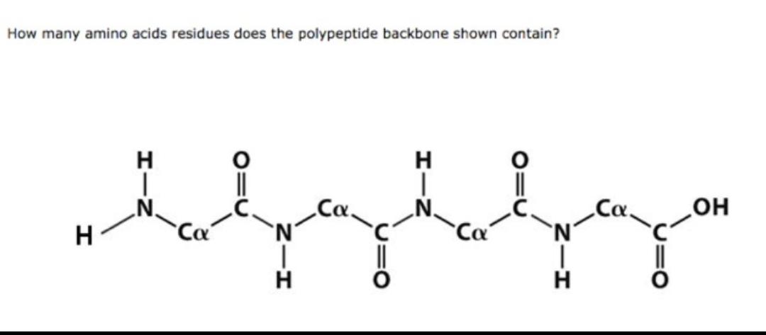 Solved How many amino acids residues does the polypeptide | Chegg.com
