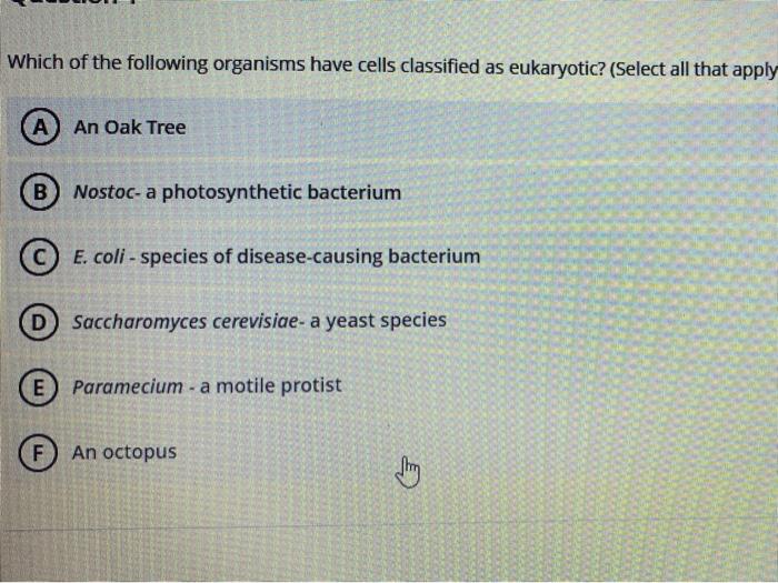 solved-which-of-the-following-organisms-have-cells-chegg