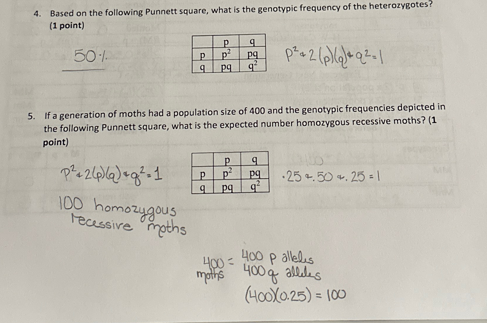 Solved Based on the following Punnett square, what is the | Chegg.com