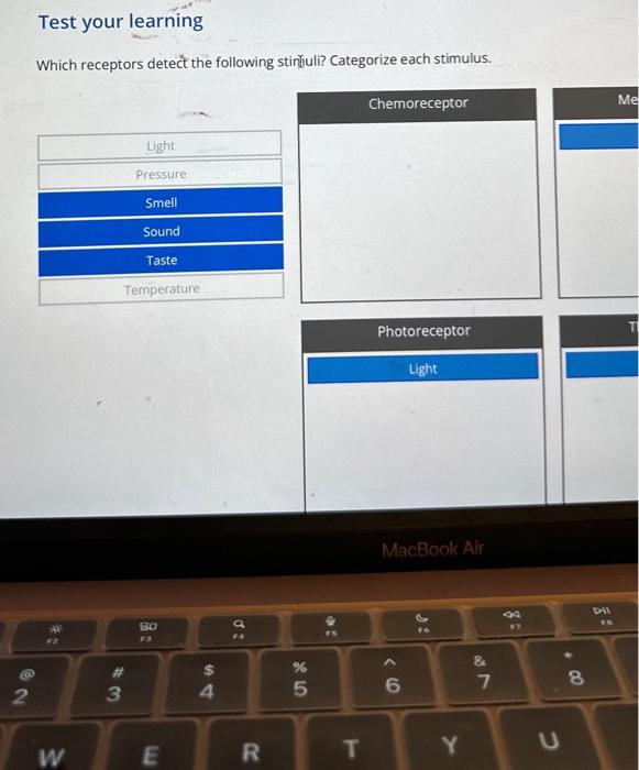 Test your learning Which receptors detect the | Chegg.com