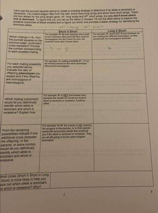 Let's use the punnett squares above to create a | Chegg.com