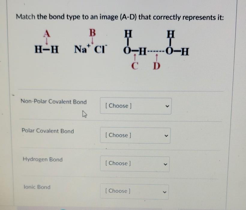 Solved Match the bond type to an image (A-D) that correctly | Chegg.com