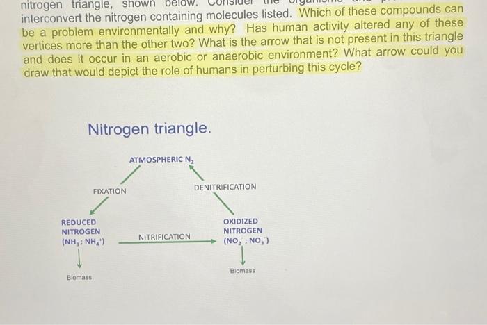 Solved nitrogen triangle, shown interconvert the nitrogen | Chegg.com