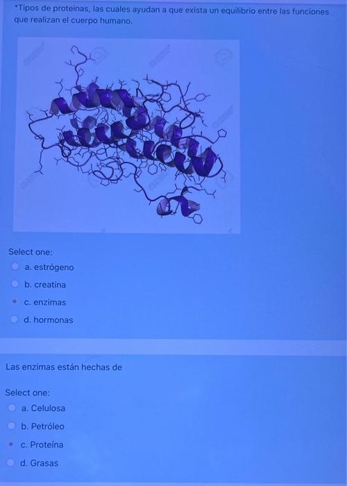 -Tipos de proteinas, las cuales ayudan a que exista un equilibrio entre las funciones que realizan el cuerpo humano. Select