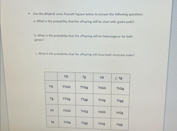 Solved - Use the dihybrid cross Punnett Square below to | Chegg.com