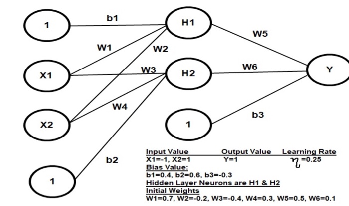 Solved Find new weights through back propagation from the | Chegg.com