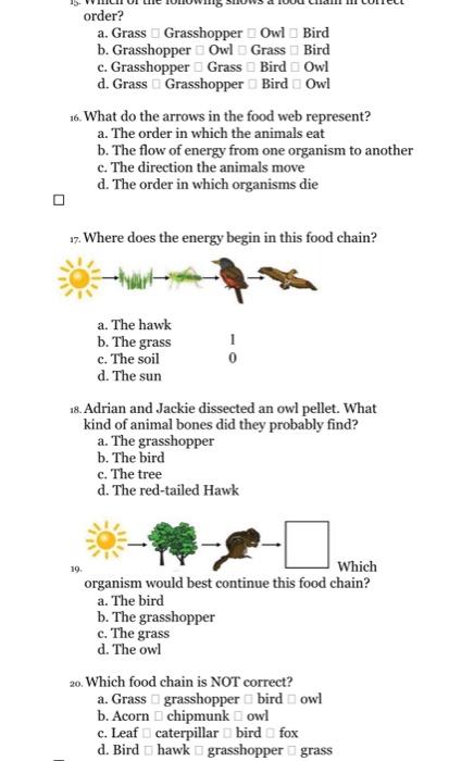 Solved order? a. Grass Grasshopper Owl Bird b. Grasshopper | Chegg.com