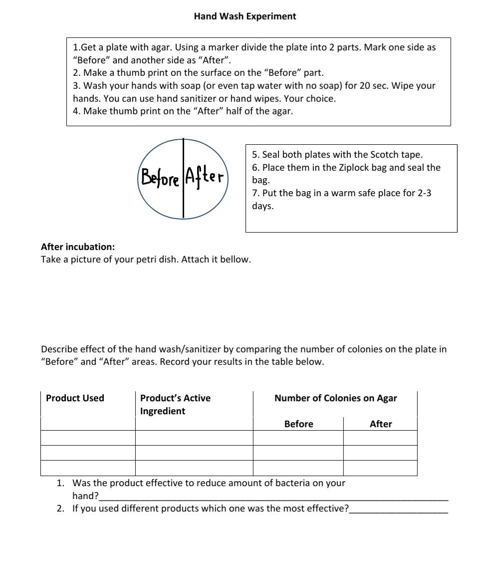 Hand Wash Experiment 1. Get a plate with agar. Using | Chegg.com