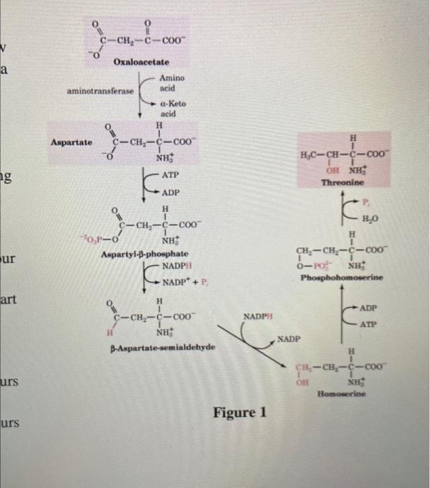 solved-question-b-given-the-diagram-figure-1-of-a-chegg