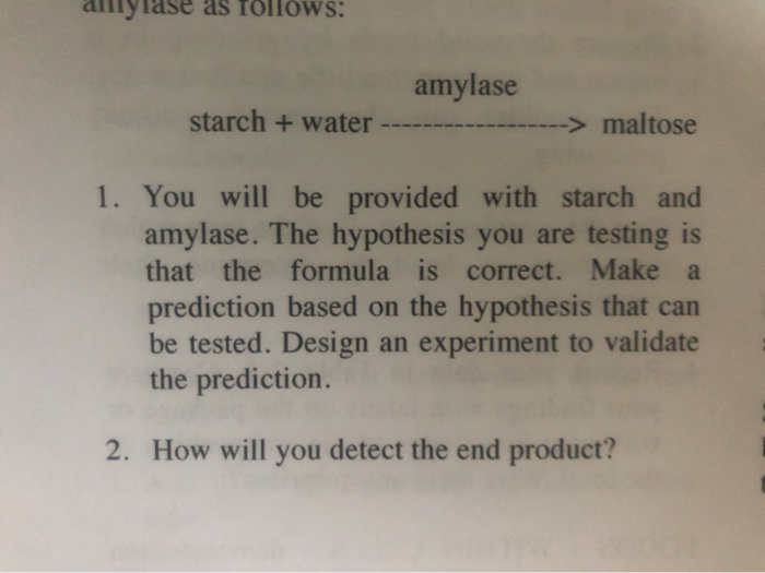 Solved Design an experiment to test the statement STARCH + | Chegg.com