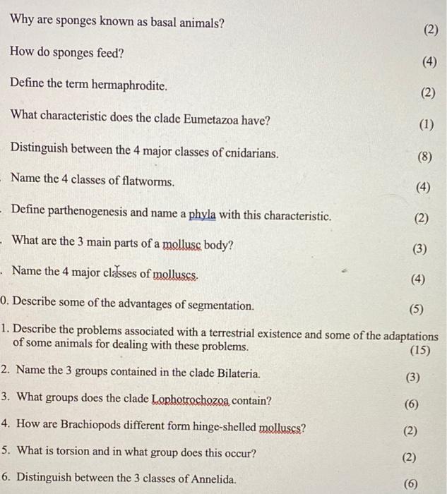 Solved Why are sponges known as basal animals? (2) How do