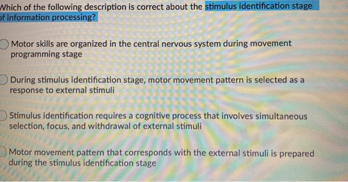 The stage of learning that describes the cognitive search for details online of the movement in order to create the motor program is