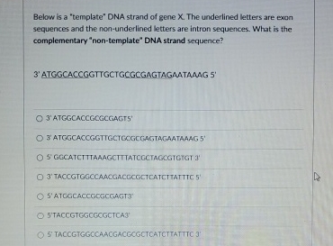 Solved Below is a "template" DNA strand of gene X. ﻿The | Chegg.com