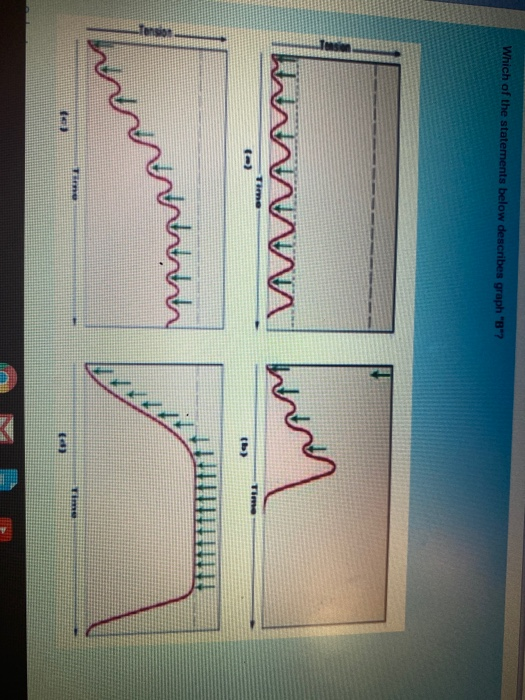 Solved Which of the statements below describes graph "B"? | Chegg.com