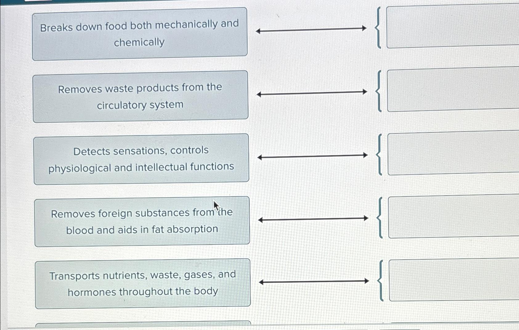 Solved Breaks down food both mechanically and