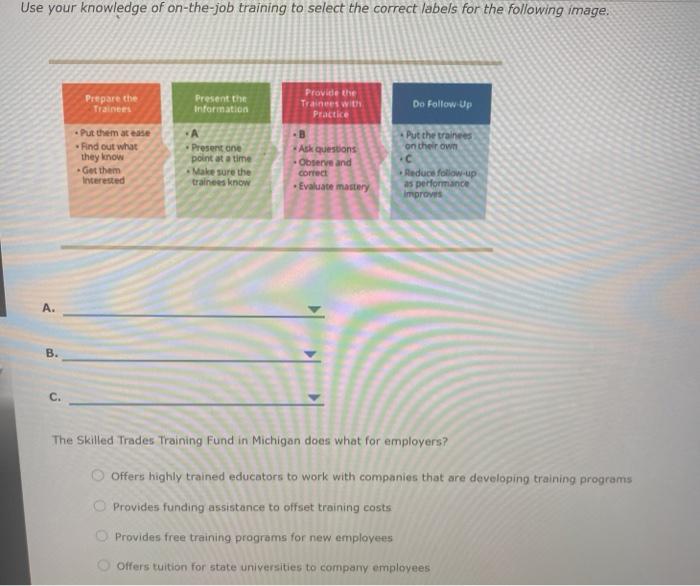 Cross Training: How to Start and How to Prepare a Training Plan 