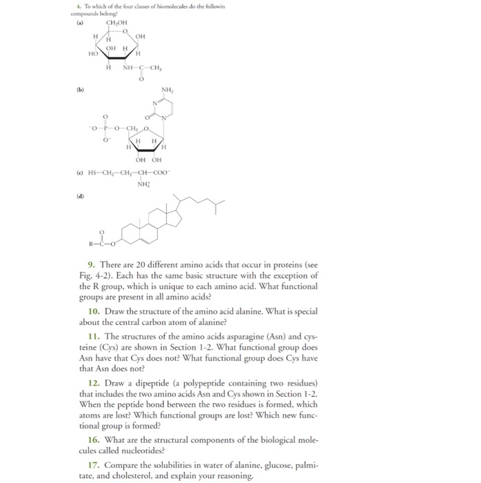 Solved 4. To which of the four classes of biomolecules do