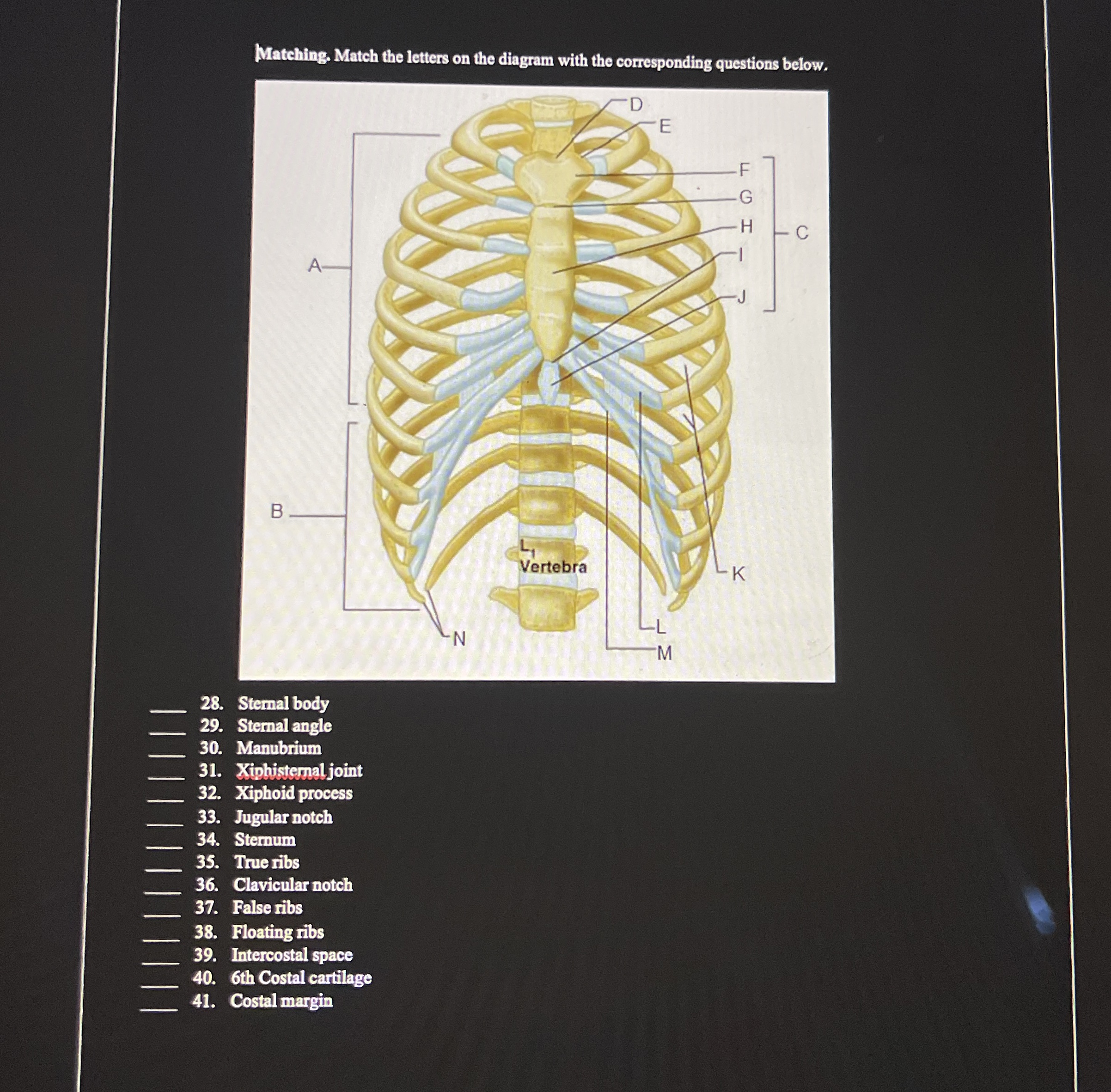 Solved Matehing. Match the letters on the diagram with the | Chegg.com