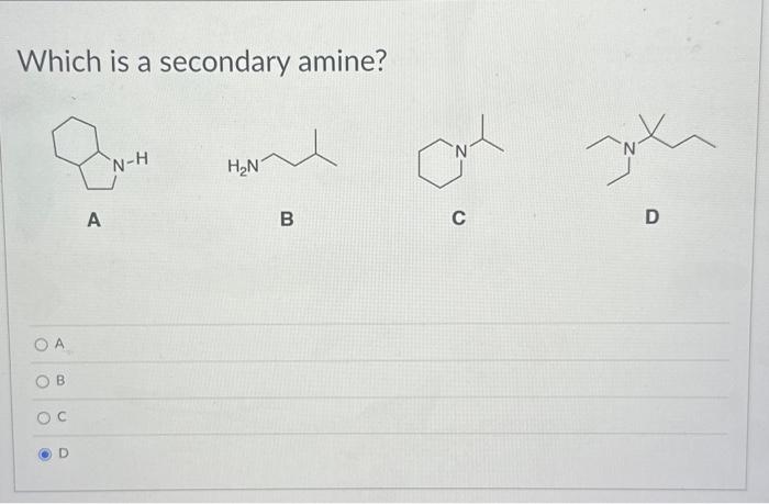 Solved Which is a secondary amine? A B C D | Chegg.com