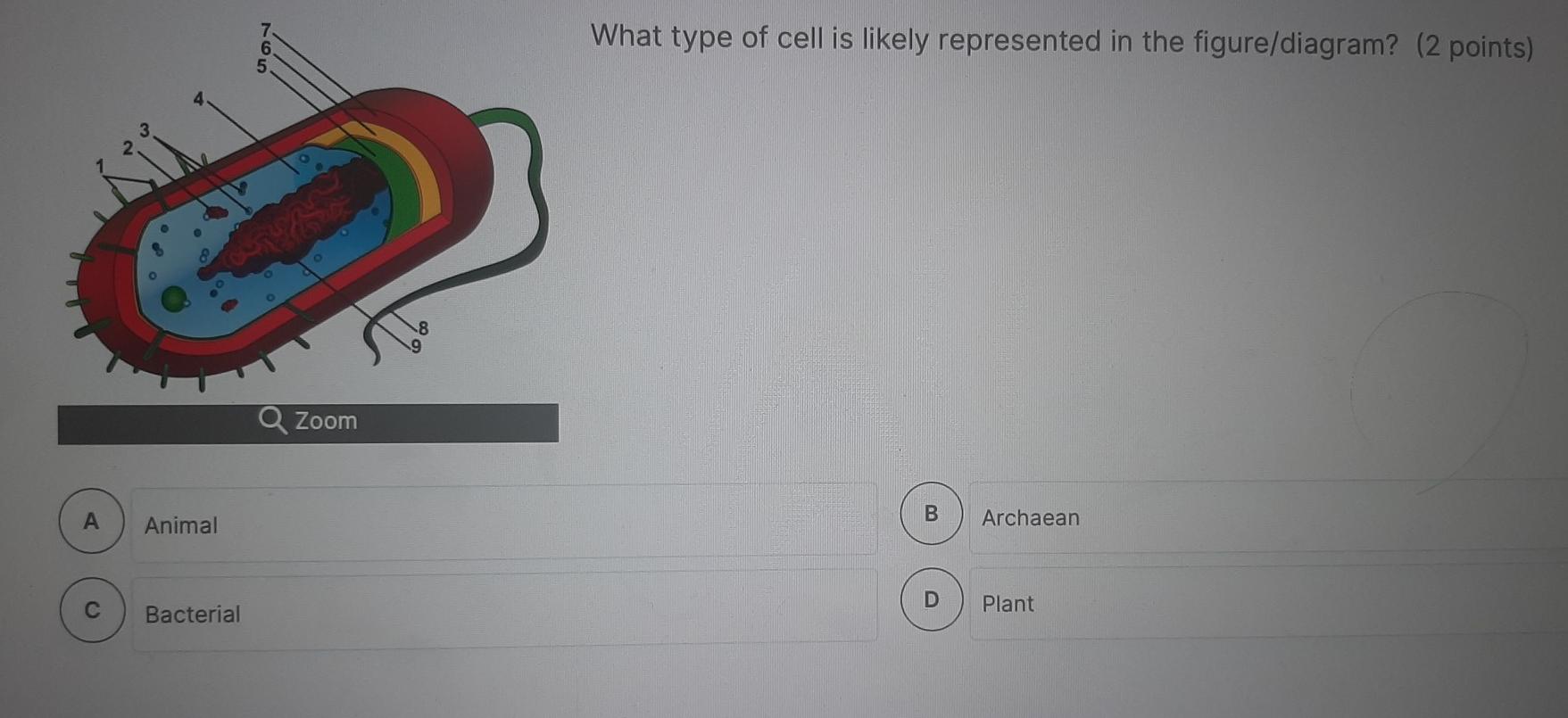 Solved Succinate Dehydrogenase Catalyzes The Conversion Of | Chegg.com