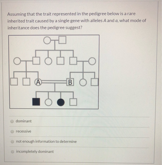 Solved Assuming that the trait represented in the pedigree | Chegg.com