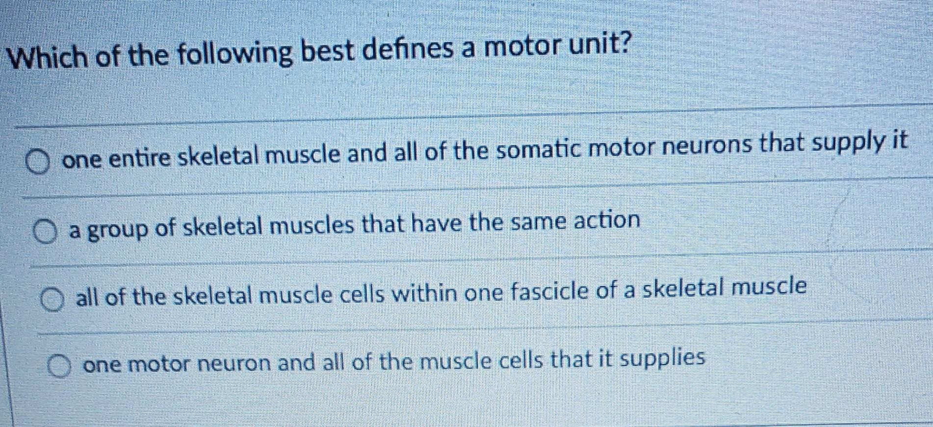 Which Best Defines A Motor Unit