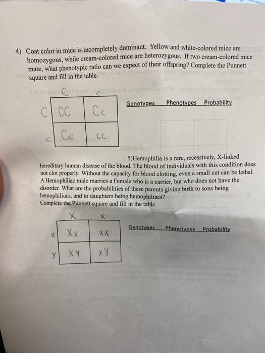 Solved Genetics Hw 2 Incomplete Dominance Sex Linked Mo Chegg Com