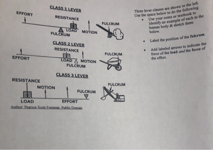 Solved Three lever classes are shown to the left. CLASS 1 | Chegg.com
