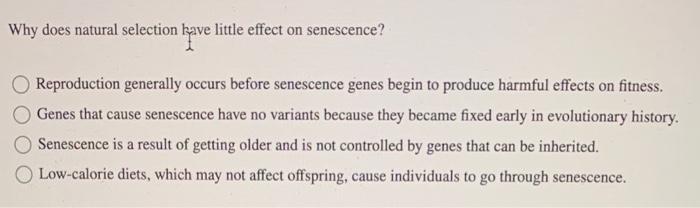 what-is-natural-selection-in-anthropology-anthroholic