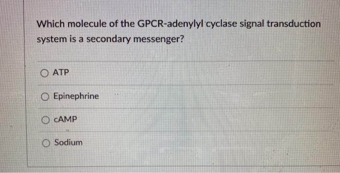 Solved Which molecule of the GPCR-adenylyl cyclase signal | Chegg.com