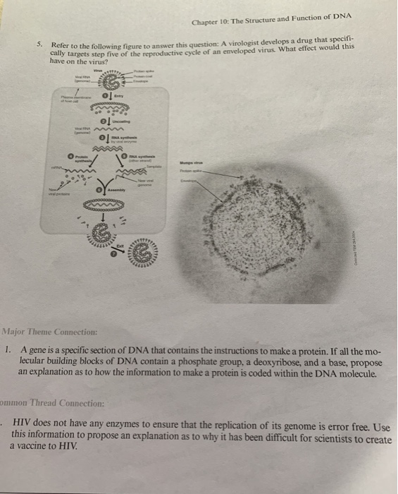 Solved Chapter 10: The Structure and Function of DNA Keler | Chegg.com