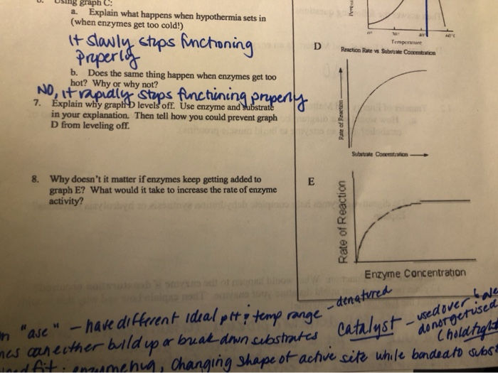 Solved ng graph C: a. Explain what happens when hypothermia | Chegg.com
