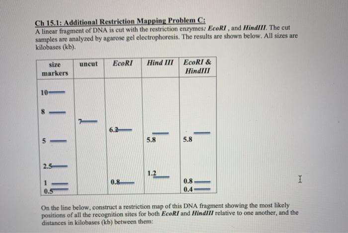 Solved Ch 15.1: Additional Restriction Mapping Problem C: A | Chegg.com
