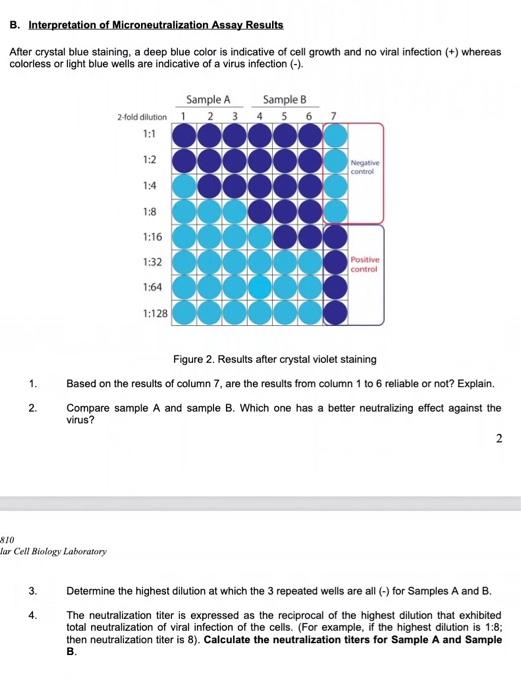 Solved B Interpretation Of Microneutralization Assay 1993