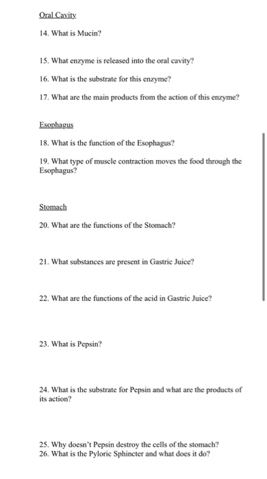 solved-1-what-are-the-four-main-stages-of-food-processing-chegg